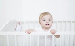 Zazu Zoe De Pinguin Grijs 3 In 1 Muziekdoosje ZA-ZOE-01 11 Zazu Zoe De Pinguin Grijs 3 In 1 Muziekdoosje ZA-ZOE-01 -Bekende Babyartikelen Winkel 30685085644 974ee59458 o