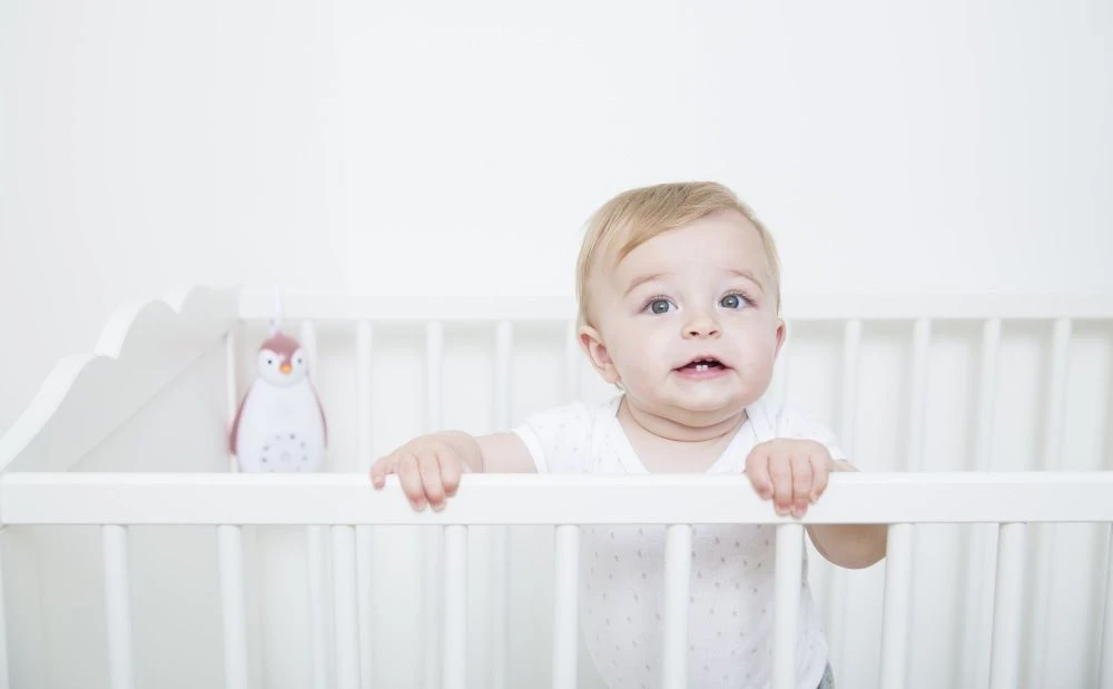 Zazu Zoe de Pinguin Grijs 3 in 1 Muziekdoosje ZA-ZOE-01 Zazu Zoe De Pinguin Grijs 3 In 1 Muziekdoosje ZA-ZOE-01 -Bekende Babyartikelen Winkel 30685085644 974ee59458 o