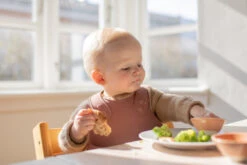 Bibs Overall Woodchuck Slab 4000247 -Bekende Babyartikelen Winkel Bibs Overall Woodchuck Slab 4000247 3