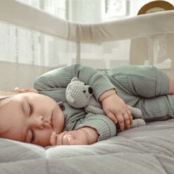 Babygo SideBySide Creme Wieg Aan Bed 4161 -Bekende Babyartikelen Winkel babygo sidebyside creme wieg aan bed 4161 2