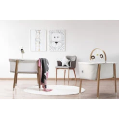 Babygo Sleep Good Mesh Wieg 4352 -Bekende Babyartikelen Winkel babygo sleep good mesh wieg 4352 1 1