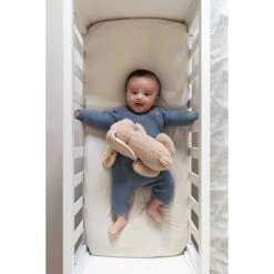 Doomoo Snoogy Biscuit Konijn Magnetronknuffel SY21 -Bekende Babyartikelen Winkel doomoo snoogy biscuit konijn magnetronknuffel sy21 7