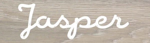 Wandrek Jasper 41718 Wandrek Jasper 41718 -Bekende Babyartikelen Winkel jasper147455149157e3dec3b820b 4